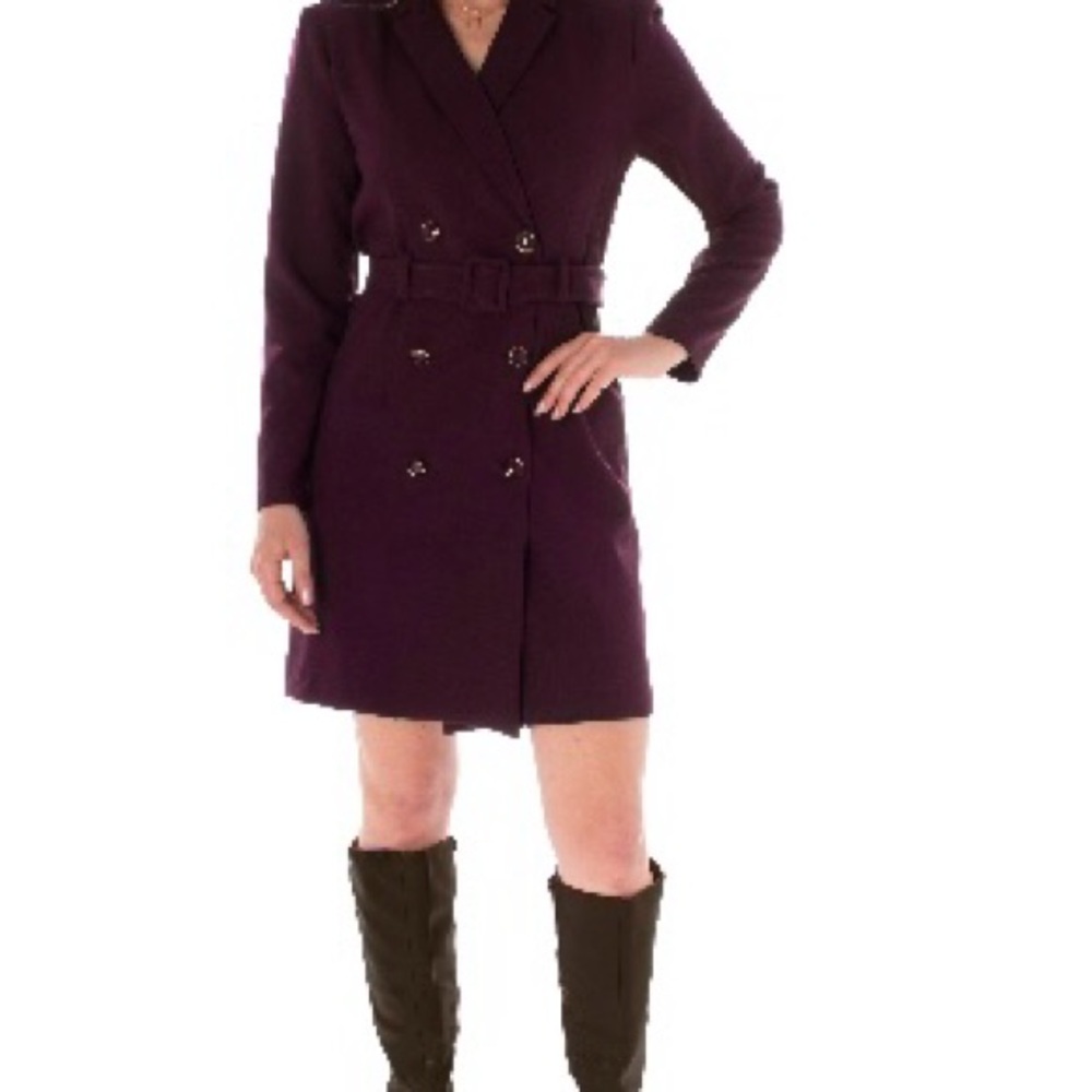 Taylor Blazer Dress in Eggplant